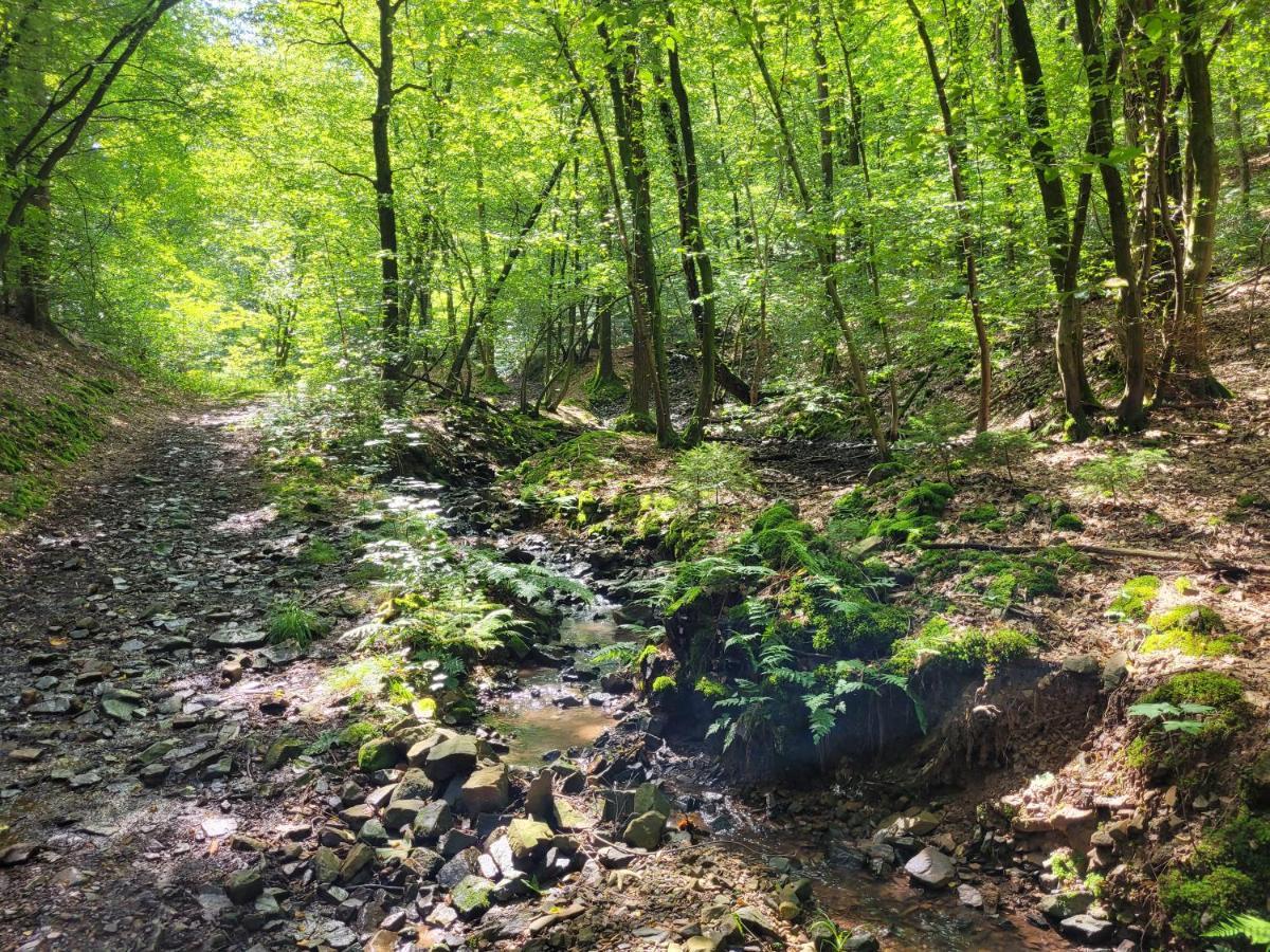 Gite De Trasenster Trooz Esterno foto